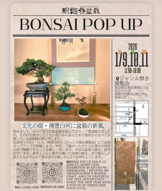 盆栽ポップアップストア開催